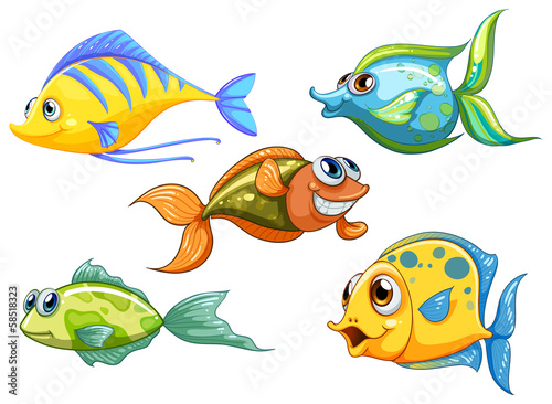 Fototapeta Five colorful fishes