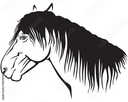 Fototapeta Pony profile