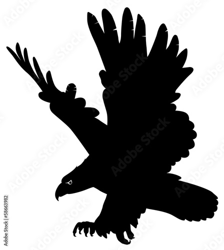 Fototapeta eagle