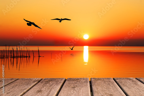  aves al amanecer en el mar