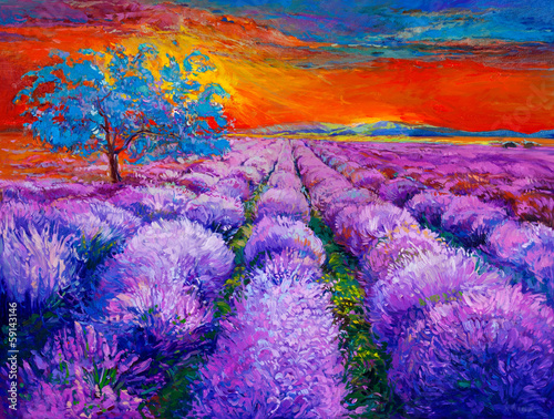  Lavender fields