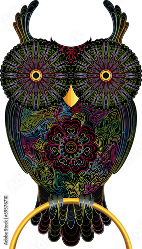 Fototapeta Owl, color contour