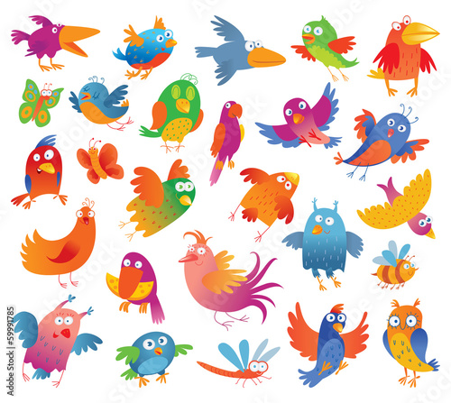  Funny colorful birdies