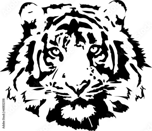 Fototapeta tiger head in black interpretation
