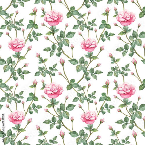 Lacobel Watercolor pattern with rose illustration