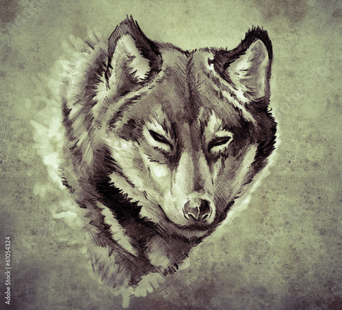  Sketch of tattoo art, Illustration of a Wolf head