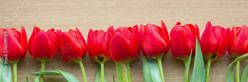 banner-czerwone-tulipany