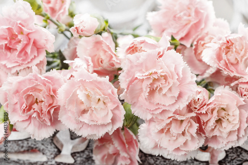 Fototapeta Pink carnation flowers