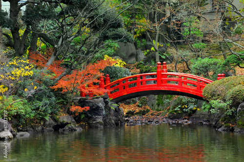 Fototapeta Japanese garden