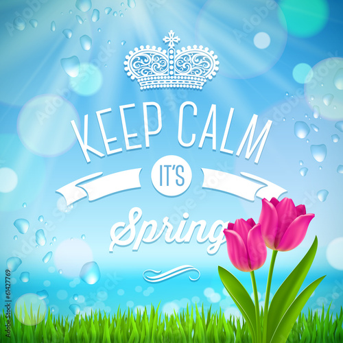 Lacobel Keep calm it's spring - vector illustration
