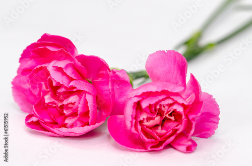Lacobel pink flower