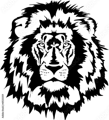 Fototapeta lion head black