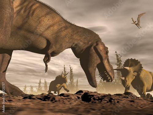 Fototapeta Tyrannosaurus roaring at triceratops - 3D render
