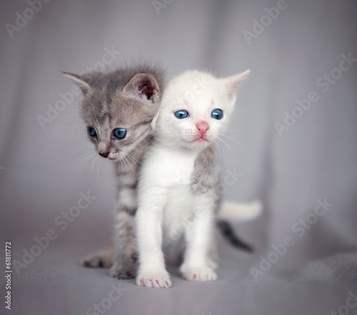 sweet hug