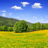 Spring landscape in the national park Sumava - Czech Republic