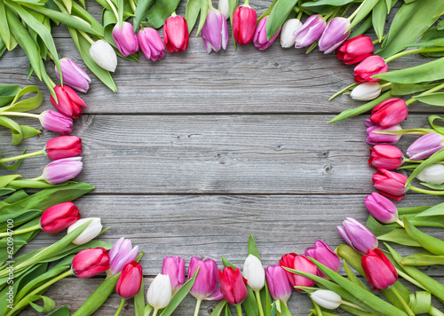 Fototapeta Frame of fresh tulips arranged on old wooden background
