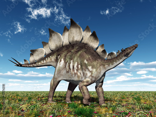 Fototapeta Dinosaur Stegosaurus