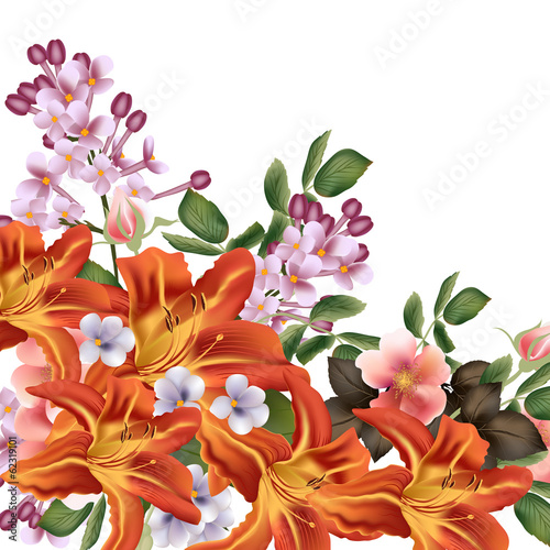Fototapeta Beautiful vector background with detailed flowers