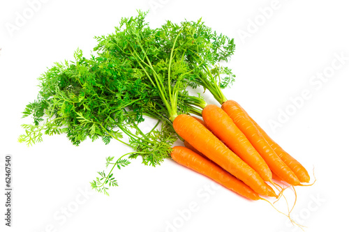 Fresh carrots isolated on white background