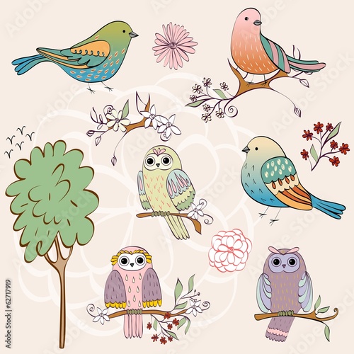  hand drawn set of birds and owls.