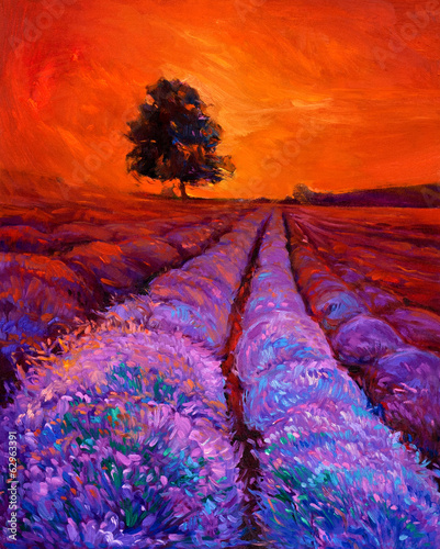  Lavender fields