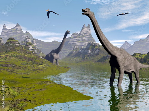 Fototapeta Brachiosaurus dinosaurs in water - 3D render