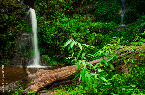 doi-suphet-park-narodowy-siklawa-chang-mai-tajlandia