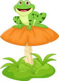 Funny frog sitting on mushroom