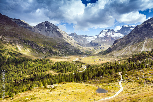 Fototapeta vallata alpina - Alta Valtellina (IT)