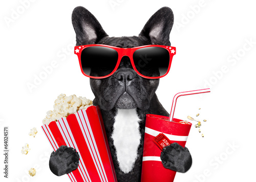  dog to the movies