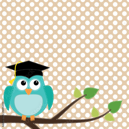  Owl with graduation cap sitting on branch