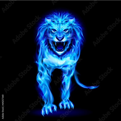 Fototapeta Blue fire lion