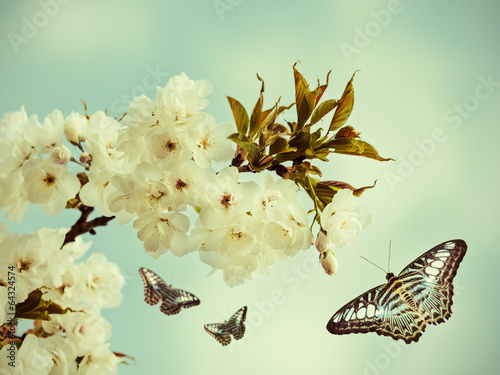 Lacobel Retro styled image of butterflies in an orchard