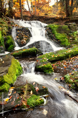 Fototapeta Wasserfall im Herbstwald