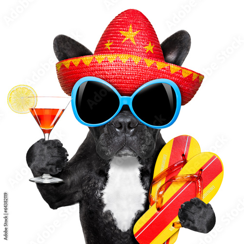 Lacobel mexican dog