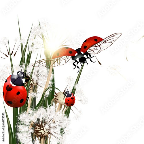 tlo-z-wektorowa-zielona-trawa-dandelions-i-ladybirds