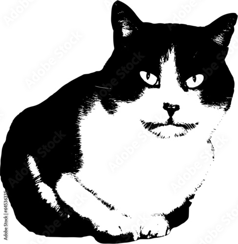 Fototapeta illustration of a cat