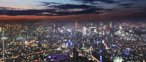Fototapeta Tokyo skyline panorama at night from Tokyo Tower, Japan
