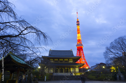 Fototapeta 増上寺と東京タワーライトアップ