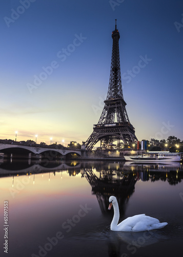 Fototapeta Tour Eiffel au Crépuscule avec Cygne Blanc