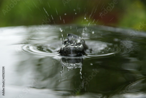 water splash © arris_