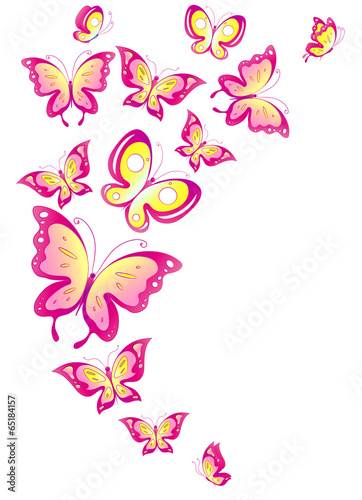 Fototapeta butterflies design