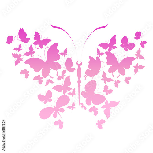 Lacobel butterflies design