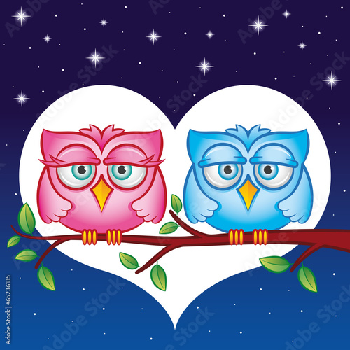  Owls in love