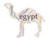 Camel shaped Egypt concept word cloud