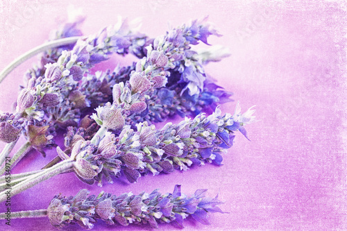 Fototapeta Bunch of a lavender flowers on a purple vintage background