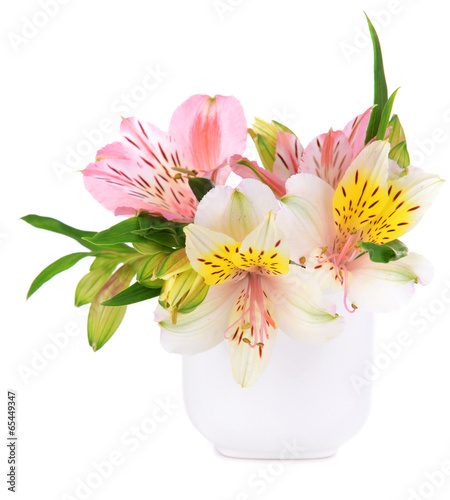 Fototapeta Alstroemeria flowers in vase isolated on white
