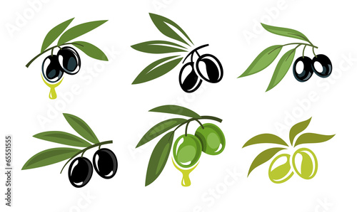 Fototapeta green and black olives