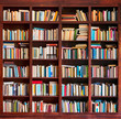 Bookshelf full with books