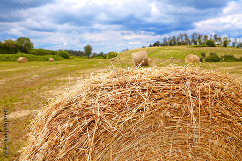 Fototapeta Hay bales on the field after harvest, Tuscany, Italy